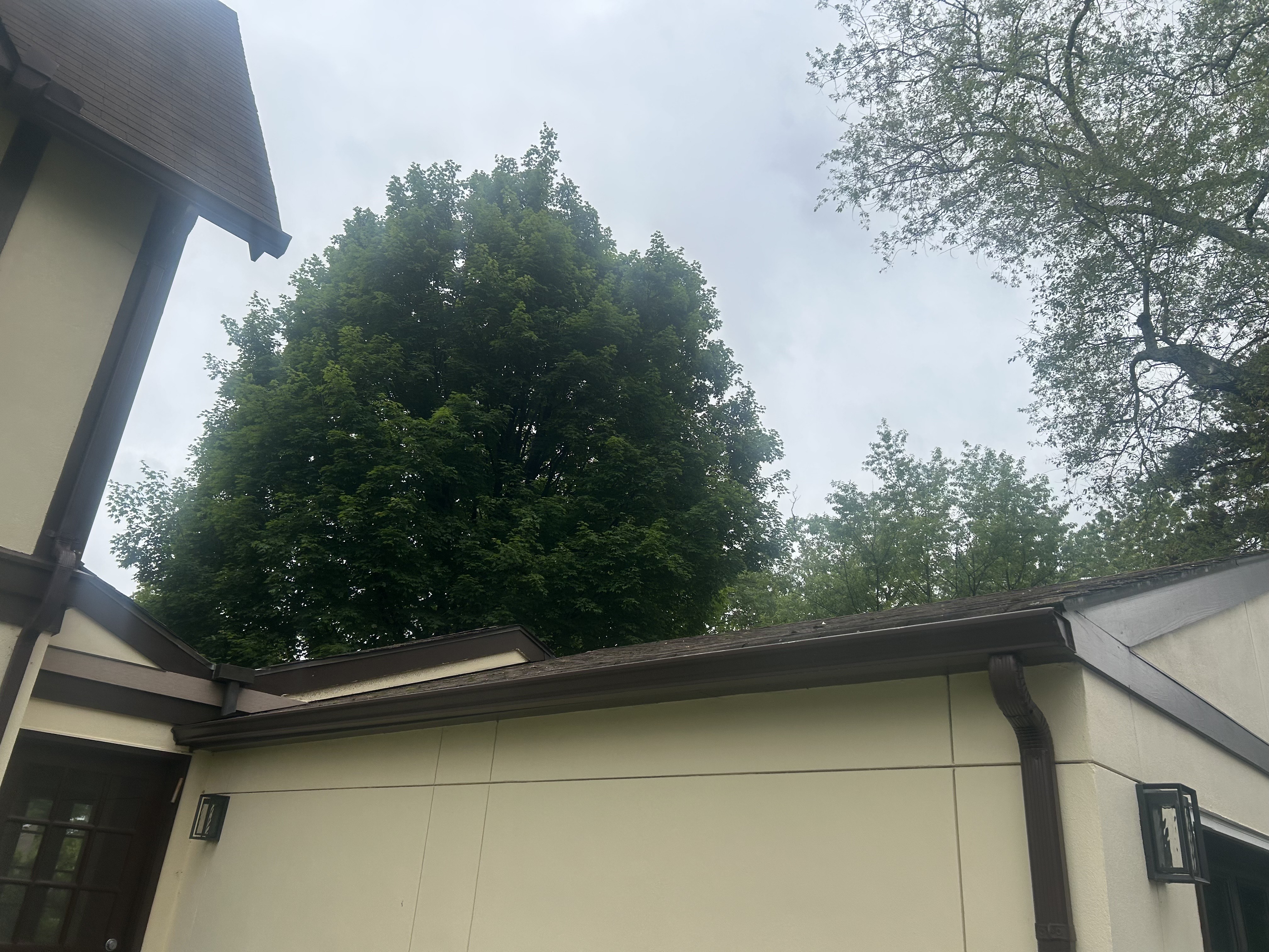 roof work example8